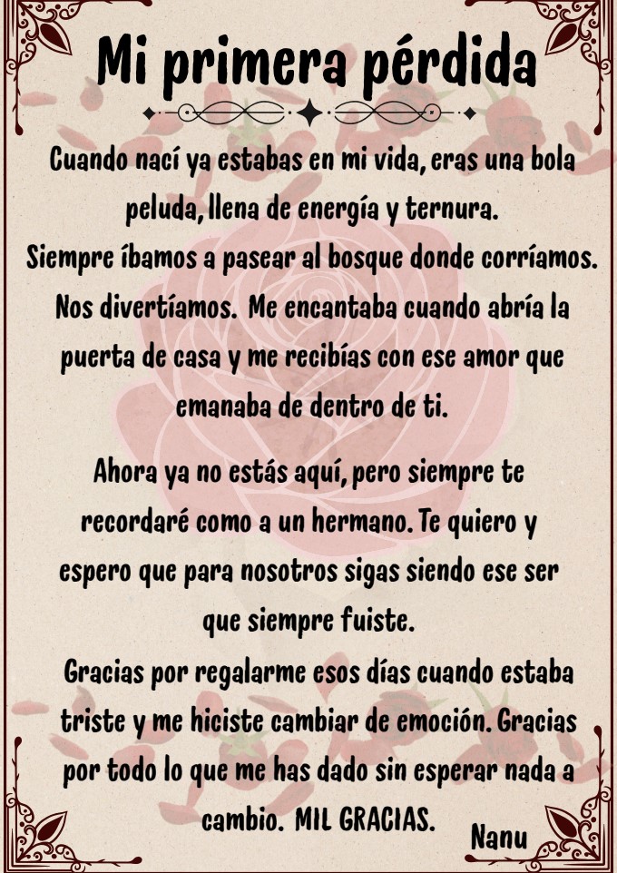 Concurso